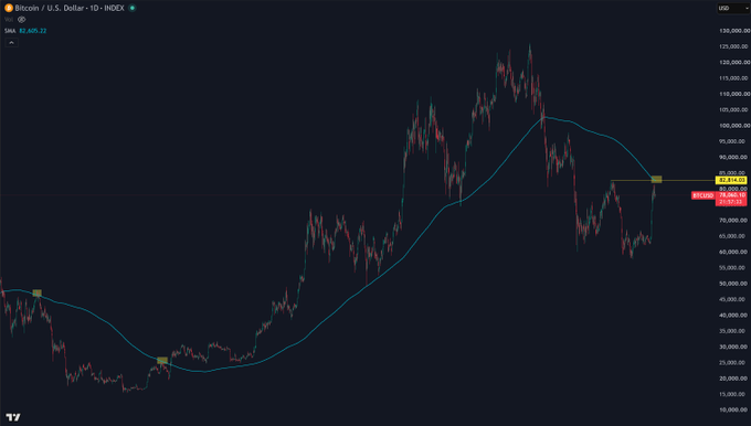 A Bitcoin/U.S. Dollar (BTCUSD) daily candlestick chart on INDEX showing price action oscillating around the 81,828 level, with a blue moving average line and key horizontal price markers at 95,716.99 and 83,690.31, illustrating the post's discussion of the 365-day moving average pressing down on price near 83,000 while short-term holder cost basis approaches ~69,990.