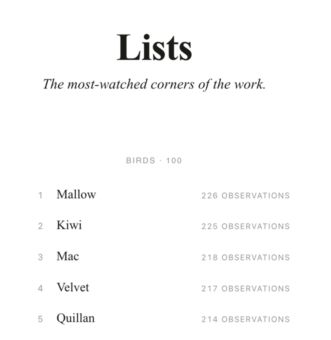 A minimalist webpage section titled "Lists" with the subtitle "The most-watched corners of the work," displaying a ranked list of "BIRDS · 100" starting with Mallow (226 observations), Kiwi, Mac, Velvet, and Quillan.
