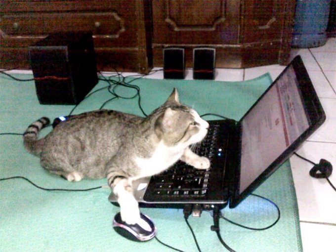 A tabby cat lies on a laptop on a green mat, with a speaker and subwoofer visible in the background.
