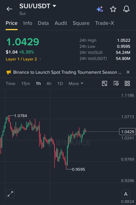 The image shows a Binance trading chart for the SUI/USDT pair on a 1-hour timeframe, with the current price at $1.0429 (+5.39%), having bounced from a low of $0.9595 and showing a recent bullish structure. This visually supports the accompanying post's bullish claim, as the chart confirms the price recovery from $0.95 with green candles stacking, aligning with the suggested entry zone of 1.035–1.043.