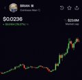 A stock trading app screen showing BTC/INR at $0.0236 with a candlestick chart and Brian W's profile.