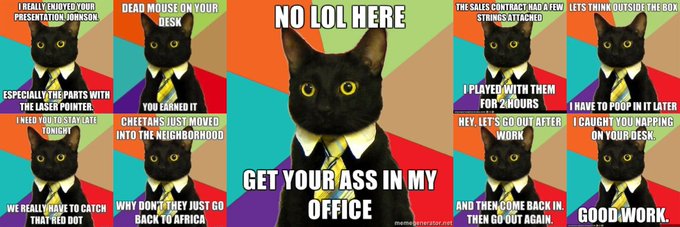 The image is a "Business Cat" meme collage with the cat dressed in a business suit and tie, featuring panels with various humorous captions like "NO LOL HERE," "GET YOUR ASS IN MY OFFICE," "GOOD WORK," and "DEAD MOUSE ON YOUR DESK," among others. This relates to the Solana token $BIZCAT by showcasing the "Business Cat" meme as the token's banner image, tying the humorous corporate-themed meme to the token's branding.