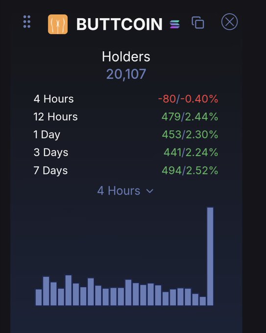 A dark-themed crypto dashboard showing 'BUTTCOIN' with 20,107 holders, displaying holder change statistics across various timeframes (4 Hours: -80/-0.40%, 12 Hours: +479/2.44%, 1 Day: +453/2.30%, 3 Days: +441/2.24%, 7 Days: +494/2.52%) along with a bar graph of holder counts.