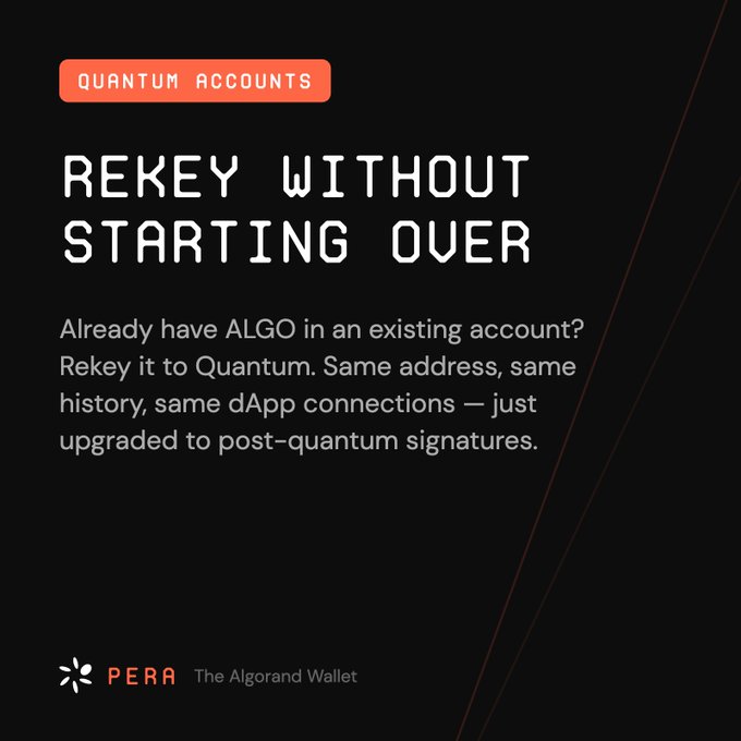 A dark promotional graphic for PERA The Algorand Wallet, highlighting 'QUANTUM ACCOUNTS' and explaining 'REKEY WITHOUT STARTING OVER' for users with existing ALGO accounts to upgrade to post-quantum signatures.