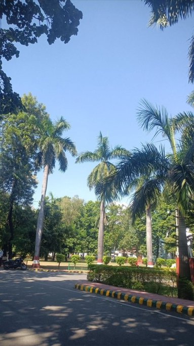 A sunny outdoor scene showing a paved road lined with tall palm trees, lush green foliage, and a clear blue sky, with red-and-white striped bollards and what appears to be motorcycles parked on the side.