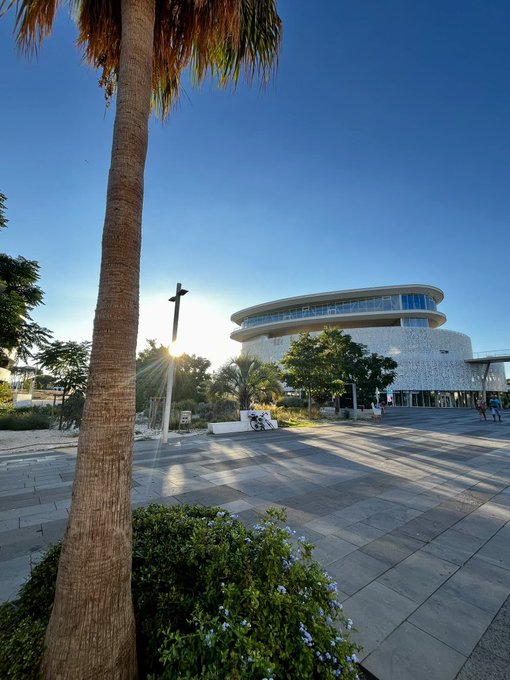 A modern, curved multi-story building viewed through palm trees at sunset with sun flare.