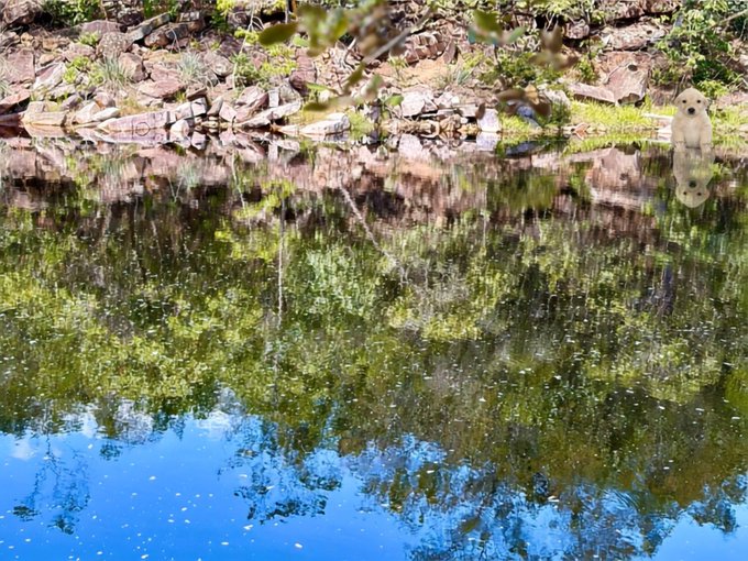 A calm pond reflects the surrounding trees and rocky shoreline, with a stone guardian statue perched on the mossy bank. The serene scene evokes a hidden "gem"—a peaceful, untouched retreat waiting to be discovered.