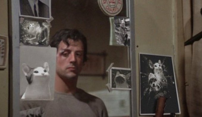 A scene from a film showing Rocky Balboa looking serious in a mirror decorated with various cat photographs and stickers.