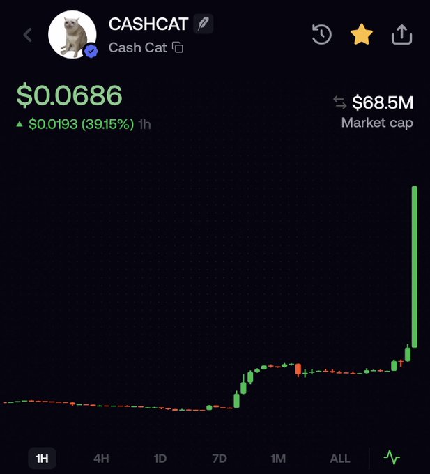 A cryptocurrency price chart for the token "CASHCAT" showing a massive vertical green spike on the far right, with a current price of $0.0686 (up $0.0193 or 39.15% in 1 hour) and a market cap of $68.5M.