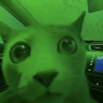 A close-up of a cat's face with wide, dilated eyes, tinted green, appearing to be inside a vehicle.
