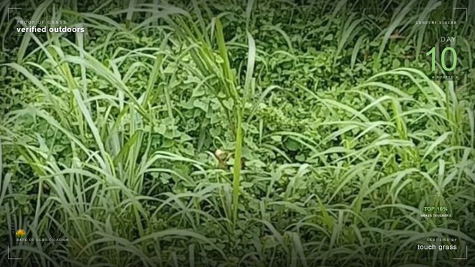 An aerial camouflage-style view of dense grass with overlay text including 'verified outdoors', 'DAY 10', and 'touch grass'.
