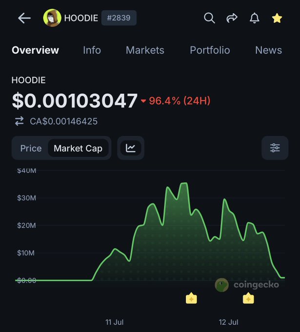 A CoinGecko price chart for the meme coin HOODIE (#2839) showing a price of $0.00103047 with a 96.4% drop in 24 hours, displaying a green market cap chart that peaked around $35M before crashing down.
