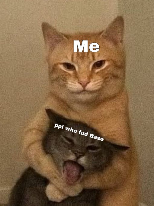 A meme showing an orange cat holding a smaller gray cat labeled 'ppl who fud Base' while the orange cat is labeled 'Me', expressing protective sentiment.