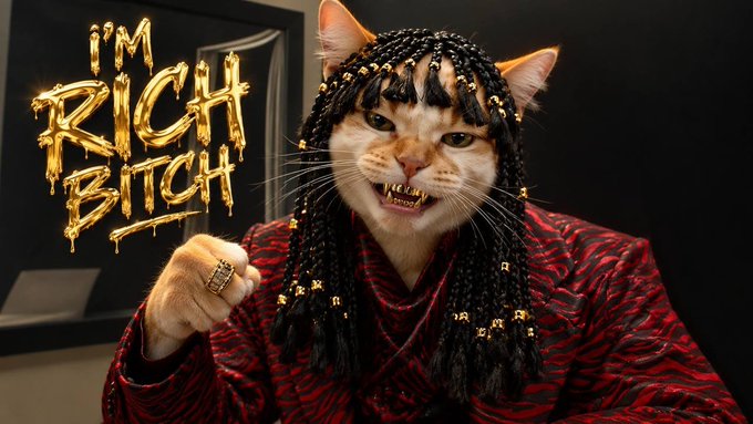 A fierce-looking cat with braided hair adorned with gold beads, wearing a red patterned jacket and gold grillz, poses with a raised fist next to bold gold text reading "I'M RICH BITCH," perfectly capturing the post's flashy, boss-cat meme energy tied to $GIGACAT.