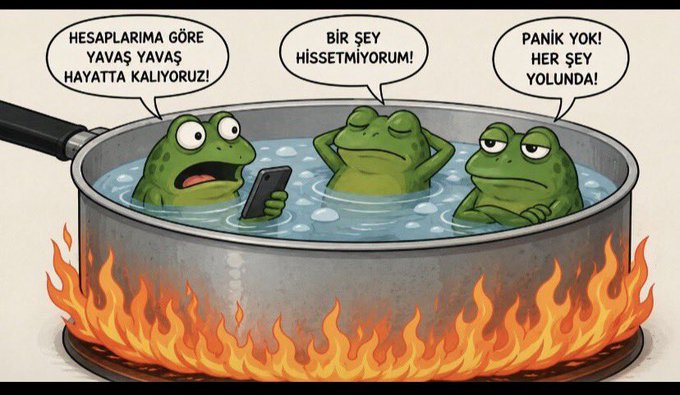 The cartoon shows three frogs sitting calmly in a pot of boiling water over a raging fire, illustrating the classic "boiling frog" metaphor for denial of danger. The speech bubbles read "Hesaplarıma göre yavaş yavaş hayatta kalıyoruz!" (According to my calculations, we're slowly surviving!), "Bir şey hissetmiyorum!" (I don't feel anything!), and "Panik yok! Her şey yolunda!" (No panic! Everything is fine!)—mocking crypto investors who ignore obvious warning signs, matching the post's list of influencers being warned about inevitable losses.