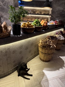 A small black dog sits beneath a stone countertop displaying an array of fruit bowls and wicker baskets, evoking a scene reminiscent of Pride Rock, fitting with the $MUFASA crypto ticker suggestion.