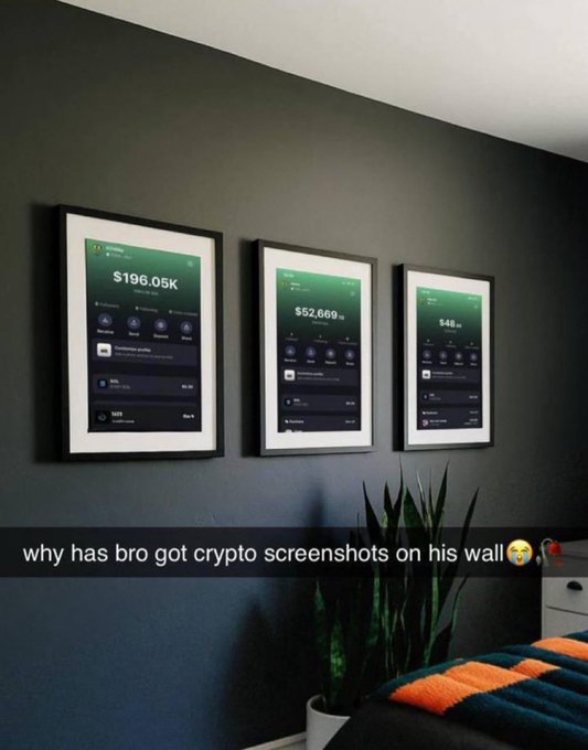 A bedroom with three framed screenshots of cryptocurrency portfolio balances ($196.05K, $52,669, and $48) hung on a dark wall, accompanied by a caption asking 'why has bro got crypto screenshots on his wall'.