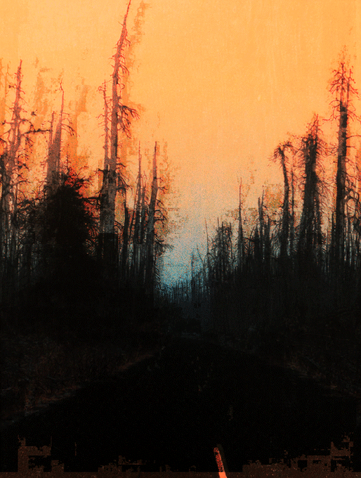 A dark, atmospheric painting or print of a dense forest of bare, silhouetted trees against a glowing orange and blue sky.