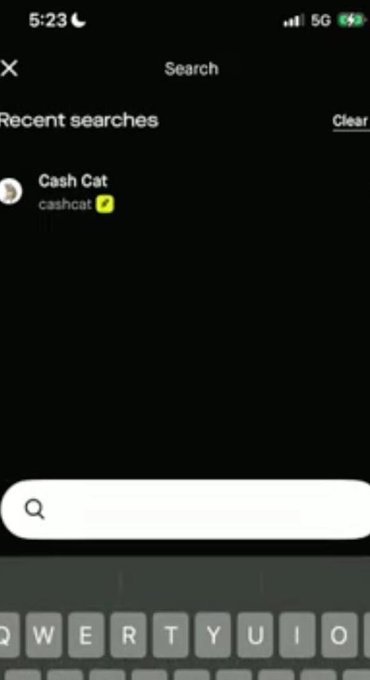A smartphone screen showing a search interface with a recent search for 'Cash Cat' and a Twitter verification checkmark.