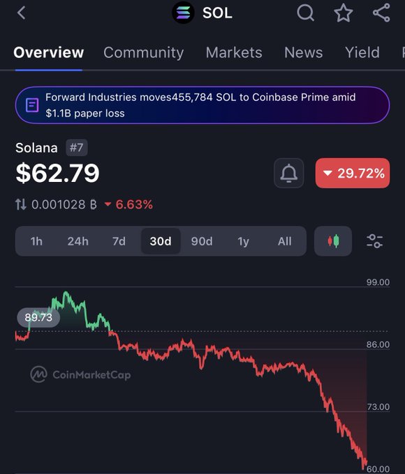 The image shows a close-up of an overview screen from a mobile app, displaying the current price drop for SOL token (solana). The downward trend of the graph suggests that the value of solana has decreased over time. The post indicates that the decline might already be at the bottom or that it could continue downwards and eventually lead to a loss in value. The user's analysis shows concern about the current state of the token, as it is losing its value rapidly.