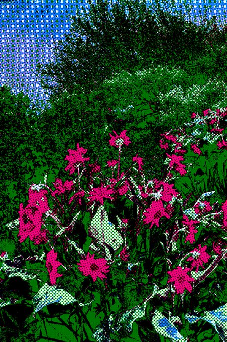 A stylized, pop-art image of vibrant pink flowers in a green garden under a blue sky, rendered with a halftone dot effect.