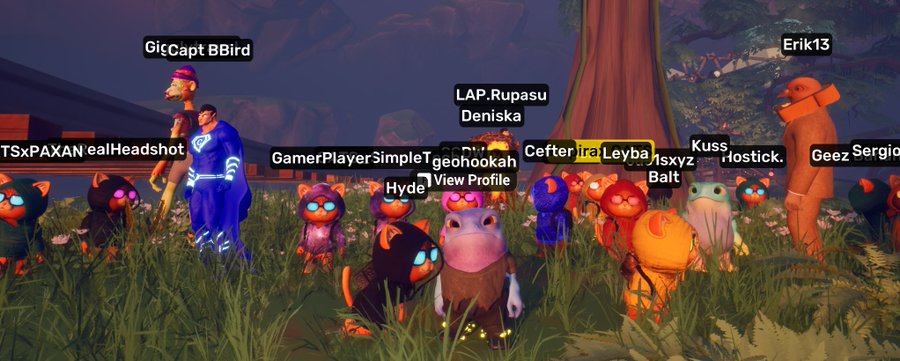 A screenshot from a video game featuring a gathering of colorful frog characters in a grassy area with usernames like 'GicCapt BBird', 'LAP.Rupasu', 'Deniska', 'Erik13', 'GamerPlayerSimple', 'Kuss', and 'Geez Sergio' displayed above them.