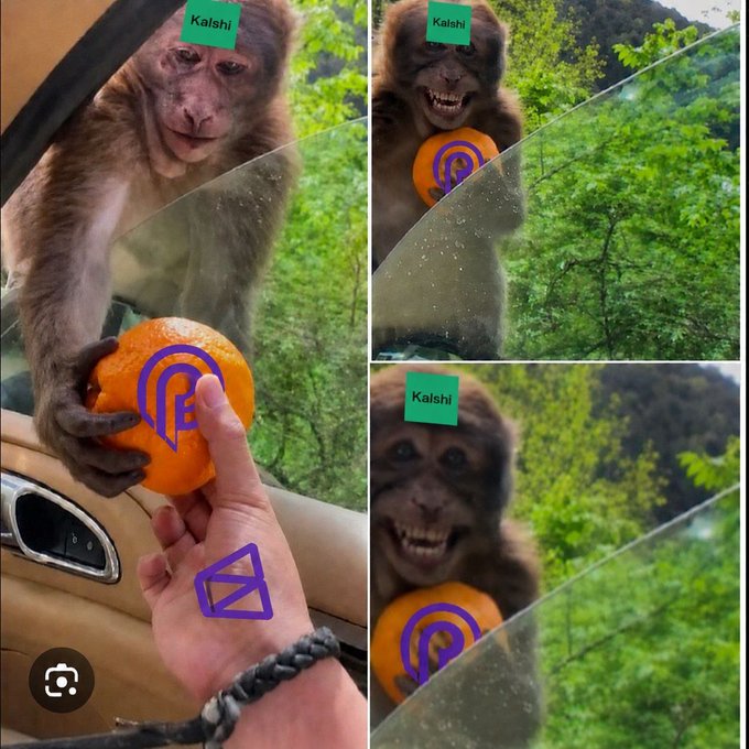 The image features a collage of photos depicting a monkey holding an orange above its head, with one photo showing the monkey holding a frisbee as well. The collage also includes a photo of a person's hand with a bracelet on it, which is related to the post about prediction markets and crypto derivatives.