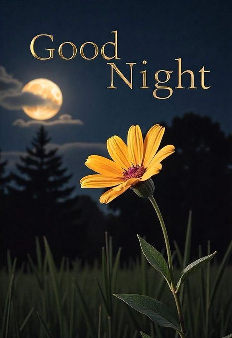 A nighttime greeting image features a yellow flower in the foreground, a full moon glowing through clouds, and the text 'Good Night' in golden lettering.