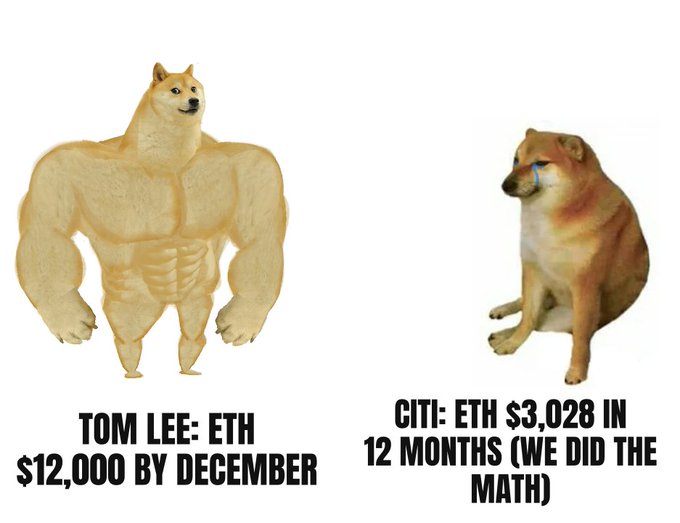 A meme contrasts a muscular Doge (Buff Doge) labeled 'TOM LEE: ETH $12,000 BY DECEMBER' with a sad, crying Shiba Inu labeled 'CITI: ETH $3,028 IN 12 MONTHS (WE DID THE MATH)'.