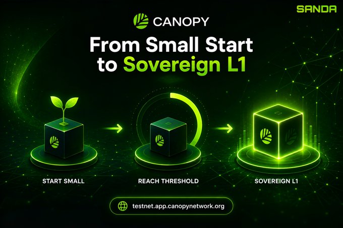 The image is a promotional graphic from Canopy (CNPY) Network titled "From Small Start to Sovereign L1," illustrating a three-stage progression—Start Small (sprouting cube), Reach Threshold (cube with circular indicator), and Sovereign L1 (larger illuminated cube)—that visually represents the post's explanation of how nascent chains graduate into fully independent L1 networks once they hit the required CNPY threshold.