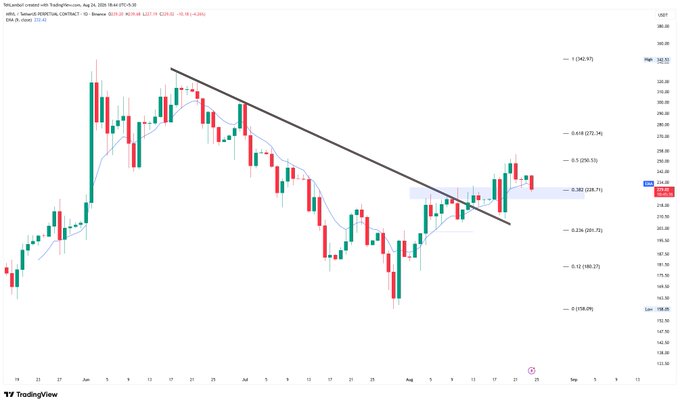A TradingView candlestick chart for Binance 1000PERP with a descending black trendline and Fibonacci retracement levels.
