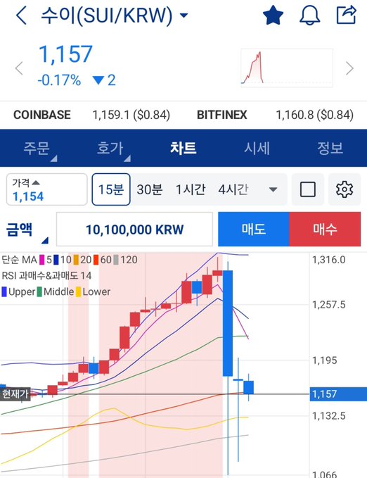 A Korean cryptocurrency trading app displays the SUI/KRW chart at 1,157 KRW, showing a sharp -0.17% decline with a dramatic candlestick drop from above 1,257 to around 1,157, illustrating the sudden ~20% plunge referenced in the post about inexperienced traders struggling with such volatile price swings.