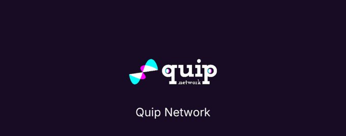 The image features a logo for Quip Network that is displayed against a dark purple background. The logo consists of two blue triangles connected by a white line, with the word "quip" written below them. Below this, there's text that reads "Quip network", and further down, it says "D-Wave machines are out here actually putting D-Wave problems to work". This text suggests that Quip Network is focused on using D-Wave machines for optimization tasks in the real world rather than just discussing or theorizing about them.