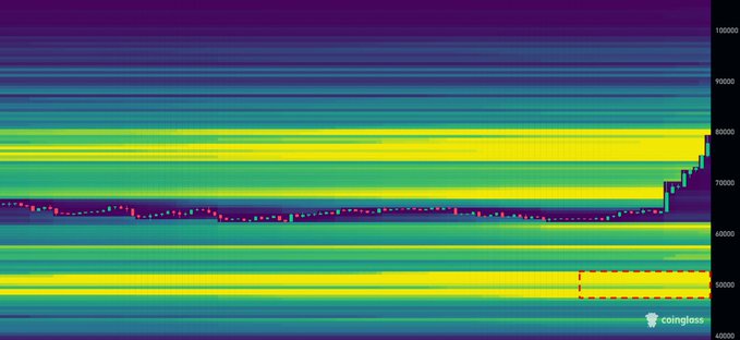 A financial chart from Coinglass showing a heatmap of price levels between approximately 47,000 and 105,000, with a red dashed rectangle highlighting a specific zone near 47,000-50,000.