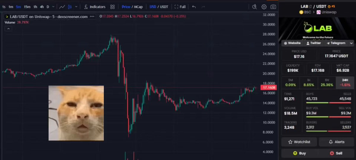 The image shows a computer screen displaying a chart with an orange cat face as its central focus, accompanied by text in the bottom left corner of the screen. The chart appears to represent a stock graph or trend line, suggesting that the cat may be used as a symbol related to the stock market or financial data analysis.