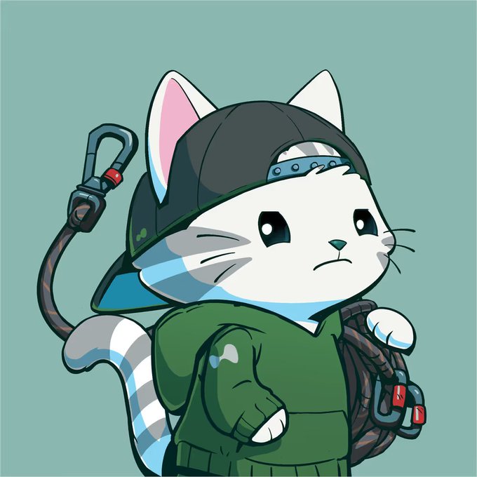 A cartoon white cat character wearing a backwards black cap, green hoodie, and carrying a carabiner and backpack, looking slightly worried or concerned—stylistically evoking a "cool" streetwear aesthetic. The image serves as a playful mascot-like avatar that the user has collected as their sixth "Hypurr" NFT, tying their growing collection to a bullish stance on the HyperEVM ecosystem.