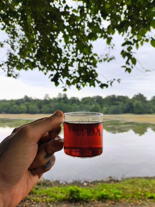 A hand holding a clear glass mug of reddish-brown tea outdoors, with a lake and trees visible in the background.