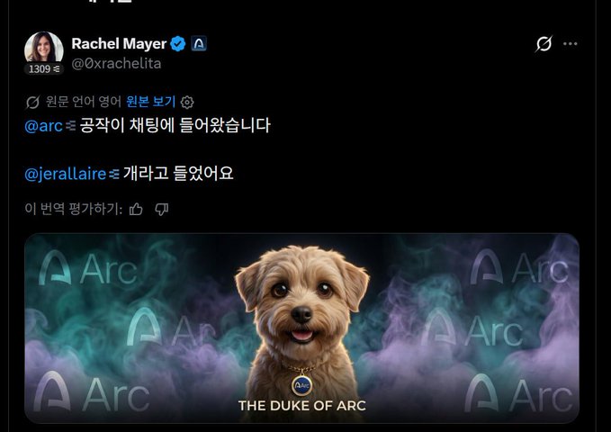 A screenshot of an X (Twitter) post by Rachel Mayer (@0xrachelita) in Korean, featuring an image of a small brown dog labeled "THE DUKE OF ARC" against a smoky background.
