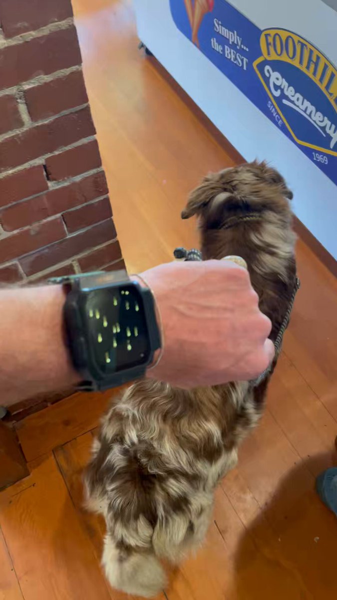 The image shows a person wearing a black wristwatch with a screen, possibly displaying information about their dog's health or other relevant data. The watch has a small camera attached to it, which could be used for monitoring the dog's activities or behavior in real-time. The person is holding the dog on a leash and appears to be walking through an area where there are ice cream cones available. This suggests that they might have stopped by an ice cream shop to enjoy some treats while also keeping track of their dog's well-being with the watch.