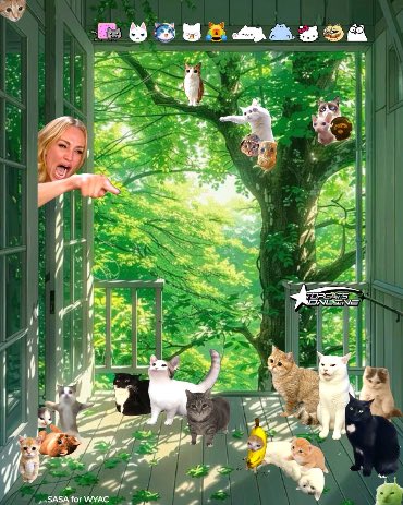 A woman peeking out of a window with an excited expression, surrounded by numerous cats in a lush green setting, labeled 'SASA for WWAC'.