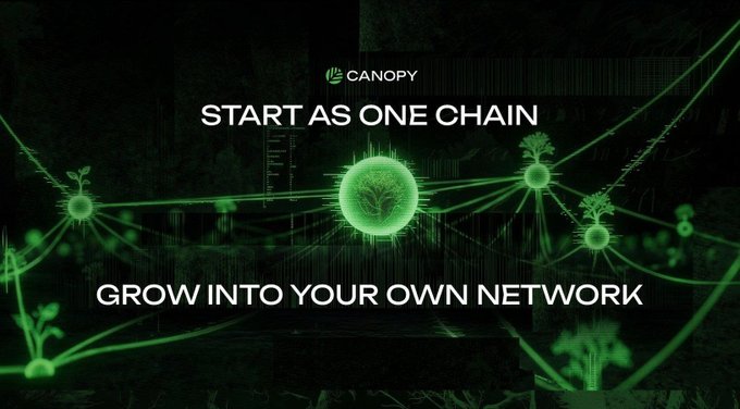 A promotional graphic for 'CANOPY' with the text 'START AS ONE CHAIN' and 'GROW INTO YOUR OWN NETWORK' displayed over a green, glowing network background.