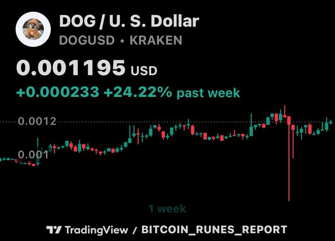 A TradingView/BITCOIN_RUNES_REPORT chart showing DOG/U.S. Dollar (DOGUSD) on Kraken at 0.001195 USD, up 24.22% past week, displayed on a 1-week candlestick chart.