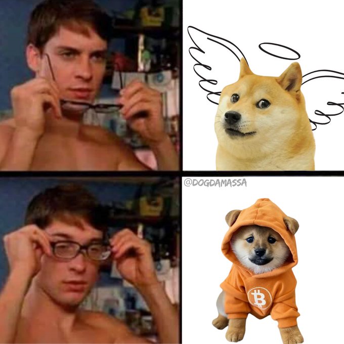 A four-panel meme featuring a shirtless young man putting on glasses on the left, paired with a confused Shiba Inu dog on the right, and a dog wearing an orange hoodie with a Bitcoin logo ('B') in the bottom right corner, credited to '@DOGDAMASSA'.