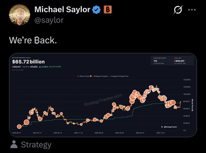 A tweet from Michael Saylor (@saylor) with a Bitcoin emoji that says 'We're Back.' above a StrategyTracker.com chart showing Bitcoin Reserve Value at $65.72 billion.