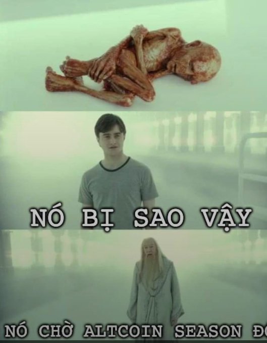 A three-panel meme featuring a disturbing biological specimen on top, a young man with Vietnamese text 'NÓ BỊ SAO VẬY' in the middle, and a blonde figure with text 'NÓ CHỜ ALTCOIN SEASON D' at the bottom.