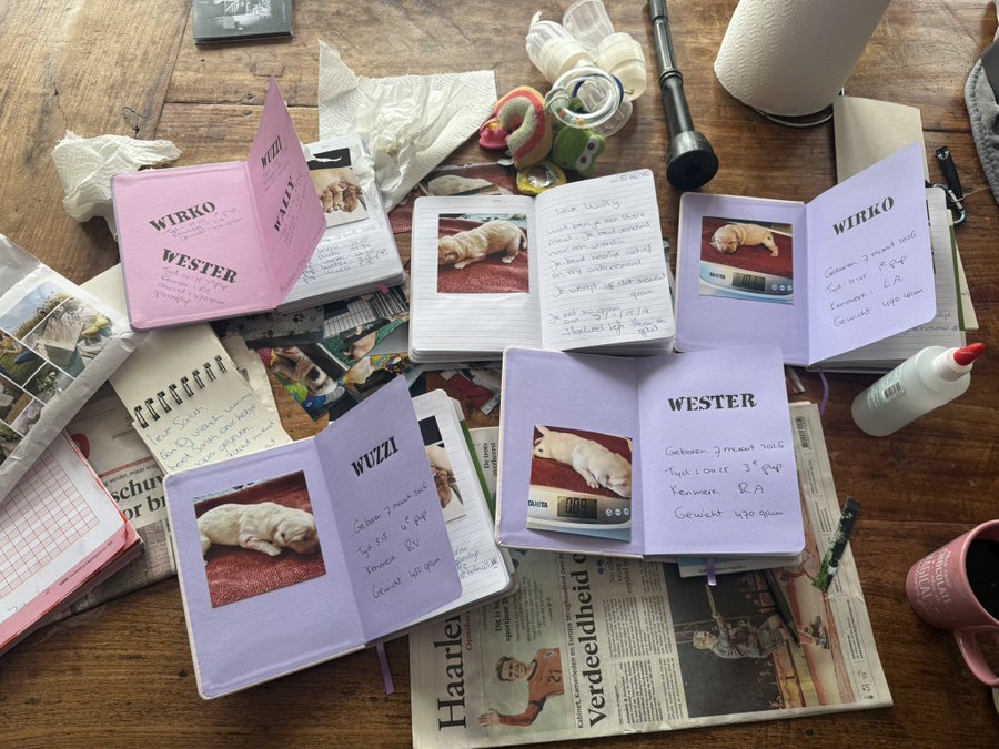 A collection of small handmade notebooks with pages showing photos of cats and handwritten notes labeled "WIRKO", "WUZZI", and "WESTER" lie scattered on a wooden table.