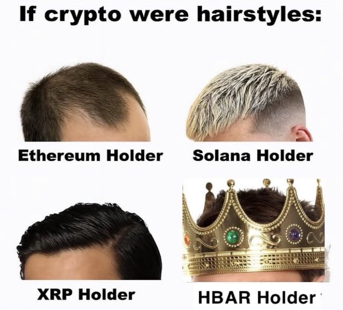 A meme titled 'If crypto were hairstyles:' comparing Ethereum Holder (balding), Solana Holder (bleached buzz cut), XRP Holder (slicked hair), and HBAR Holder (wearing a jeweled crown).