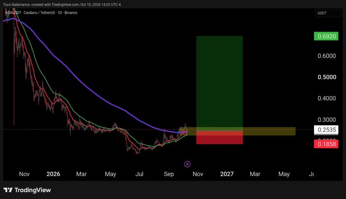 A TradingView chart of ADA/USDT on Binance from October 2026 shows ADA trading sideways around $0.2535 after a long downtrend from its 2021 highs, with a projected upside target box in green reaching up to roughly $0.6920. The post's bullish sentiment ("ready for ADA to wake up") aligns with the chart's setup, where ADA appears to be consolidating near the bottom of its range, suggesting potential for an upward breakout toward the highlighted target zone.