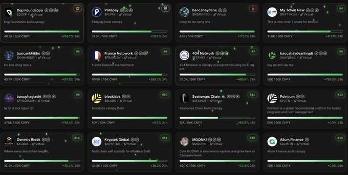 A dark-themed dashboard grid showing multiple crypto/Web3 project cards (including Dap Foundation, Palipay, baocashyden, My Token New, France Network, 404 Network, blocklabs, and others) with token values, percentages, and funding progress bars.