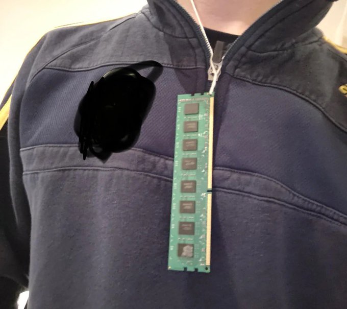A close-up photo shows a person wearing a dark blue jacket with a black mask and a green RAM stick hanging from a lanyard around their neck.